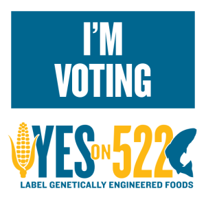 Yeson522